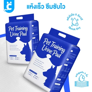 [ส่งฟรี🇹🇭] CleverPet แผ่นรองฉี่สุนัข แผ่นรองฉี่แมว Dog Training Pad