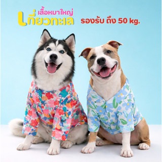 เสื้อหมาใหญ่ 50 กก.ใส่ได้ ลายฮาวายสงกรานต์ เสื้อสุนัขตัวใหญ่…