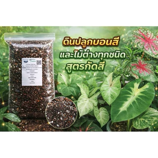 ดินปลูกบอนสี สูตรเร่งสีใบคมชัด แตกใบใหม่ไว ผสมใบมะขามหมัก + ไตรโคเดอร์ม่า ออร์แกนิค 100% สูตรโปร่ง ระบายน้ำดี พร้อมใช้