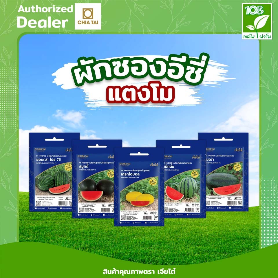 ขายส่ง ยกแพ็ค ผักซองอีซี่ รวมเมล็ดพันธุ์ แตงโม ตราเจียไต๋  ราคาถูกสุด (1แพ็ค=10 ซอง)