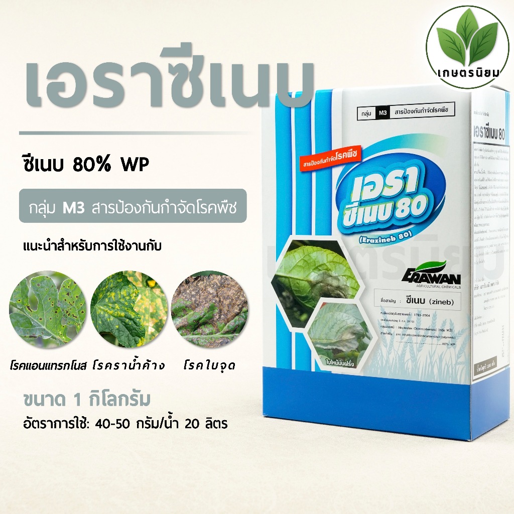 เอราซีเนบ (ซีเนบ 80% WP) 1 กิโลกรัม