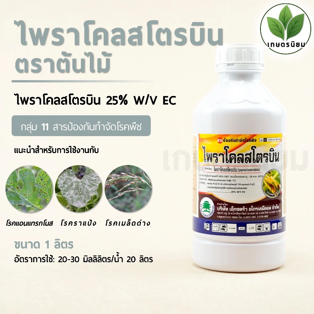 ไพราโคลสโตรบิน ตราต้นไม้ (ไพราโคลสโตบิน 25% W/V EC) 1 ลิตร
