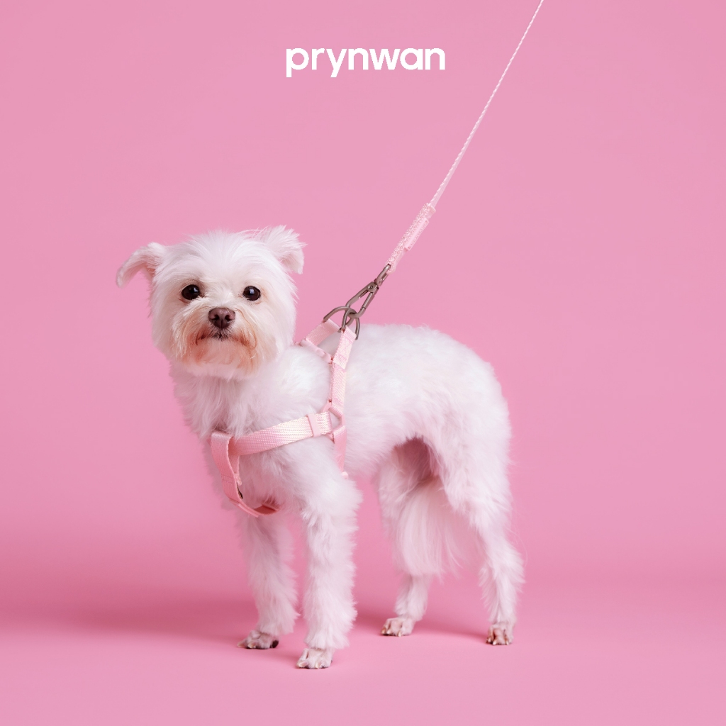 PRYNWAN Pets - Dog Leash สายจูง สัตว์เลี้ยง สีชมพู