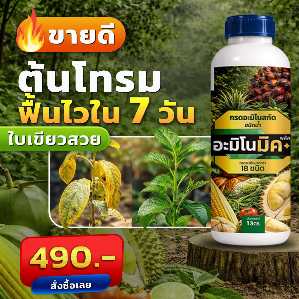 อะมิโนมิคพลัส ตราเทพมงคล ขนาด 1 ลิตร กรดอะมิโนสกัดเข้มข้น เสริมพืชทางใบ ชนิดน้ำ เร่งบำรุงพืชทุกชนิด