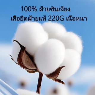 เสื้อยืดแฟชั่น HAICOO ฤดูร้อนนี้ เนื้อผ้าฝ้ายนุ่มลื่น ระบายอากาศดี ดีไซน์ Unisex หลวมสบายตัว พร้อมส่งด่วน