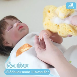 Mummily ฟองน้ำ SILK FINE ฟองน้ำธรรมชาติแท้100% ฟองน้ำอาบน้ำเด็ก
