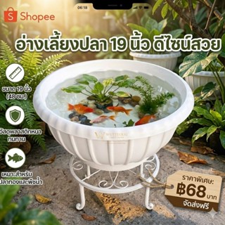 อ่างเลี้ยงปลา 19 นิ้ว อ่างบัว พลาสติกหนา ทนแดด ใช้เลี้ยงปลา/…