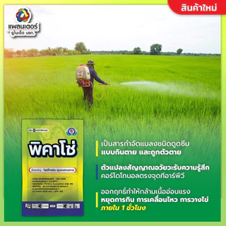 พิคาโซ่ 1 กิโล (ไพมีโทรซีน50%) ทำหมันเพลี้ย เพลี้ยกระโดดสีน้ำตาล เพลี้ยกระโดดท้องขาว เพลี้ยไก่แจ้ เพลี้ยจักจั่น