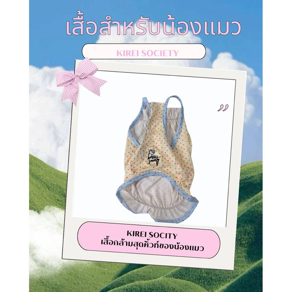 KIREI SOCIETY เสื้อปักสำหรับน้องแมวมีครบ size รูปที่ 6
