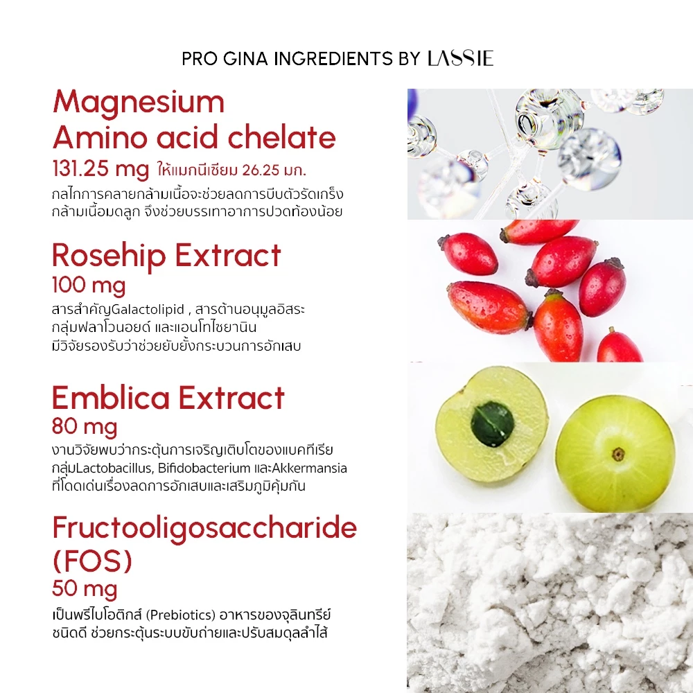 [ตะกร้าบริษัท] LASSIE Progina Probiotics โพรไบโอติกส์ 2 สายพันธุ์คัดเฉพาะเพื่อผู้หญิง แคปซูลทนกรดแตกตัวที่ลำไส้ thumbnail 3