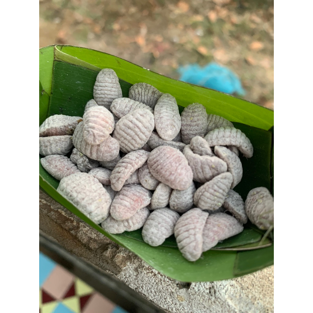 ไข่จั๊กจั่นอาหารอีสานหนึ่งปีมีแค่ครั้งเดียว สินค้า 50ไข่
