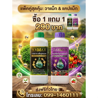 ชุด 1 แถม 1 (ปุ๋ยธาตุรวม VAMAX + CABMAX แคลเซียมโบรอน และสาร…