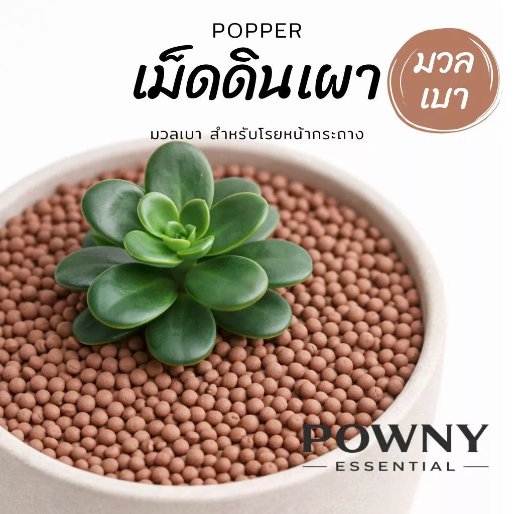 เม็ดดินเผา popper ดินเผา มวลเบา 1 ลิตร ป๊อปเปอร์ popper S M L XL XXL หินโรยหน้า โรยหน้ากระถาง