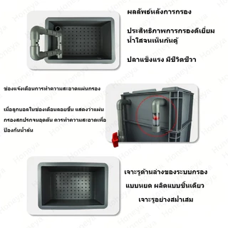 🐟 ตัวกรองตู้ปลา🐟 – ลดราคาจำกัดเวลา! ⏰ กล่องกรองน้ำทำให้น้ำสะอาด ปกป้องสุขภาพปลา มีหลายขนา ดให้เลือกTZR