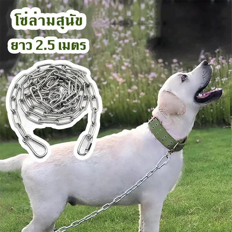 BLIVO ซ่หมา 2.5เมตร ขนาดโซ่ 3มิล🐕เหล็กชุบสังกะสี โ เหมาะสำหรับสุนัข โซ่จูงสุนัข โซ่หมา โซ่ล่าม