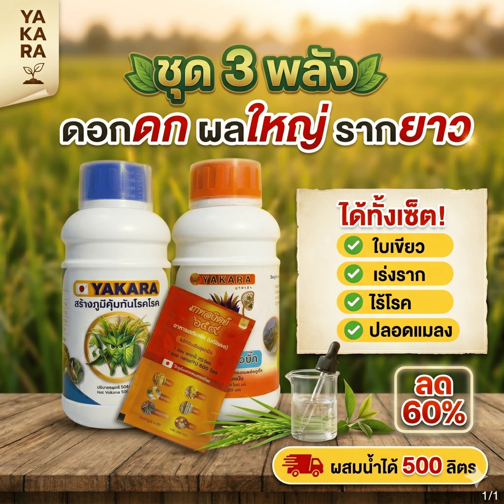 ชุด 3 พลัง รวมชุดใหญ่ขายดี ผงดำเทพสถิตย์ 5 กรัม + ยาคาร่าวัคซีนพืช 3 in 1 500 มล. + คิวบั๊ก 500 มล.