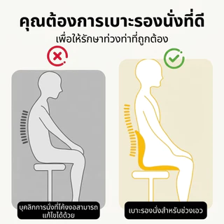 Millera เบาะรองนั่งเพื่อสุขภาพ พร้อมส่ง เบาะพิงหลัง ปรับสรีระ ลดปวดหลัง แก้ออฟฟิศซินโดรม ใช้กับเก้าอี้และในรถ