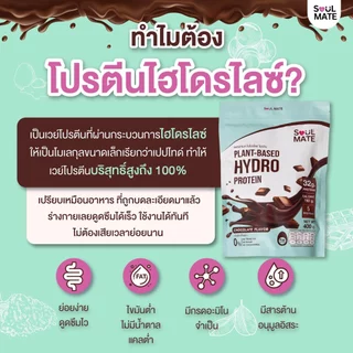 Soulmate Protein Hydrolyzed โซลเมท โปรตีน ไฮโดรไลซ์ | โปรตีนพืชผสมไข่ขาว [400 G]