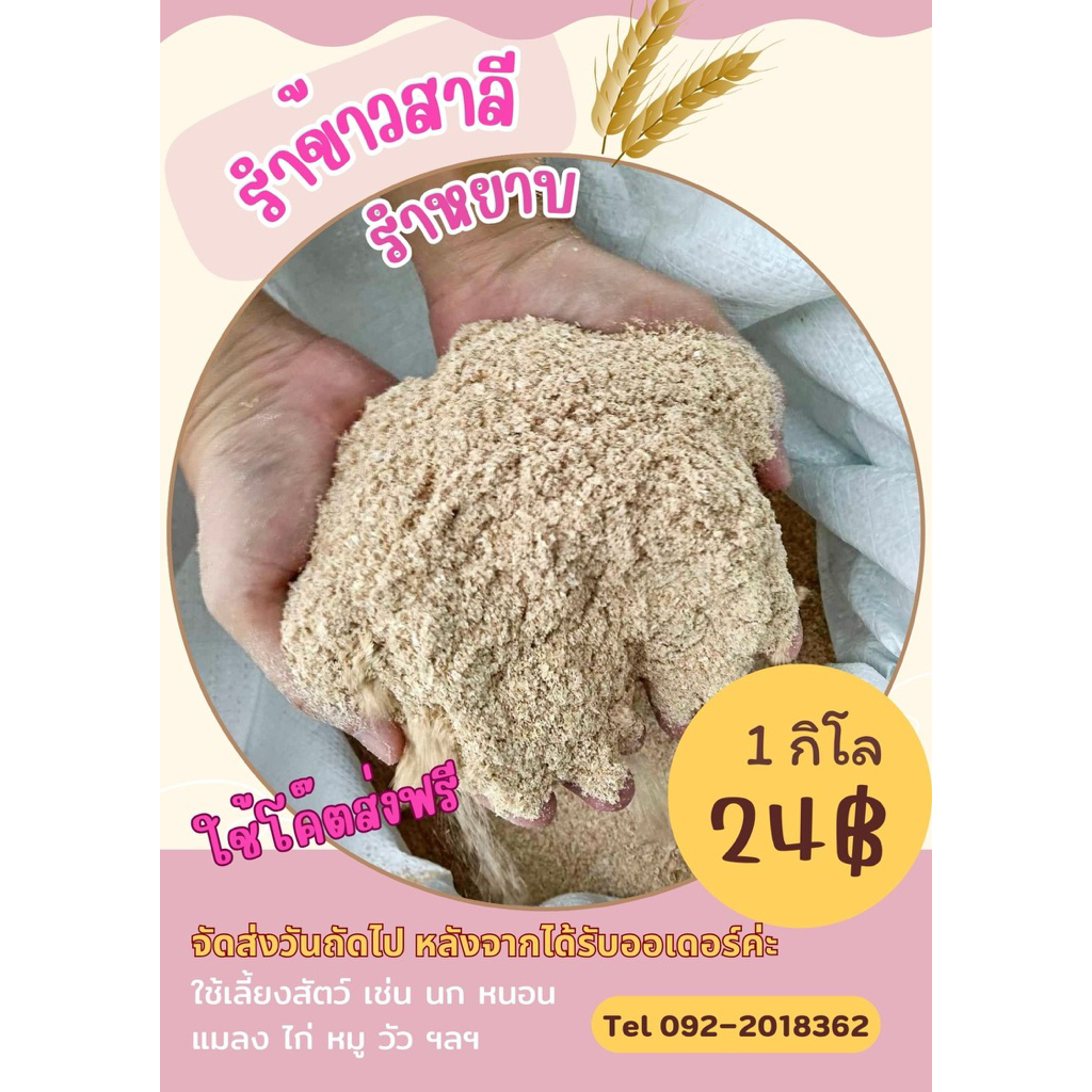 รำข้าวสาลี “1กิโล” [ใช้โค๊ตส่งฟรี] จัดส่งวันถัดจากได้รับออเดอร์ รำหยาบสำหรับสัตว์ พร้อมส่ง คุณภาพดี100%