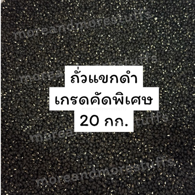 ถั่วแขกดำ คัดพิเศษ ถั่วแขกดำเพาะงอก (20 กิโลกรัม)