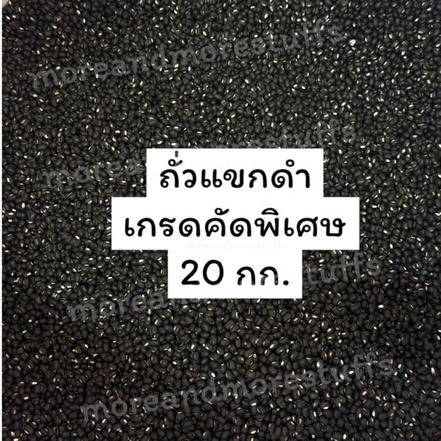 ถั่วแขกดำ คัดพิเศษ ถั่วแขกดำเพาะงอก (20 กิโลกรัม)