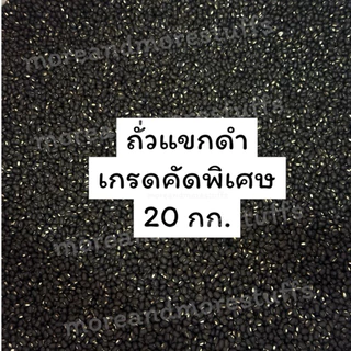 ถั่วแขกดำ คัดพิเศษ ถั่วแขกดำเพาะงอก (20 กิโลกรัม)