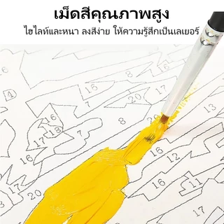 ภาพระบายสีตัวเลข 20x20 ซม. พร้อมกรอบ | ชุดวาดภาพ DIY ง่ายๆ ไม่ต้องมีพื้นฐาน