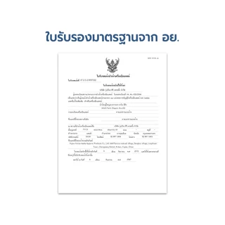 Ano.EQ ผ้าอ้อมผู้ใหญ่ แบบกางเกง แพมเพิส แพมเพิสผู้ใหญ่ 10ชิ้น/ถุง