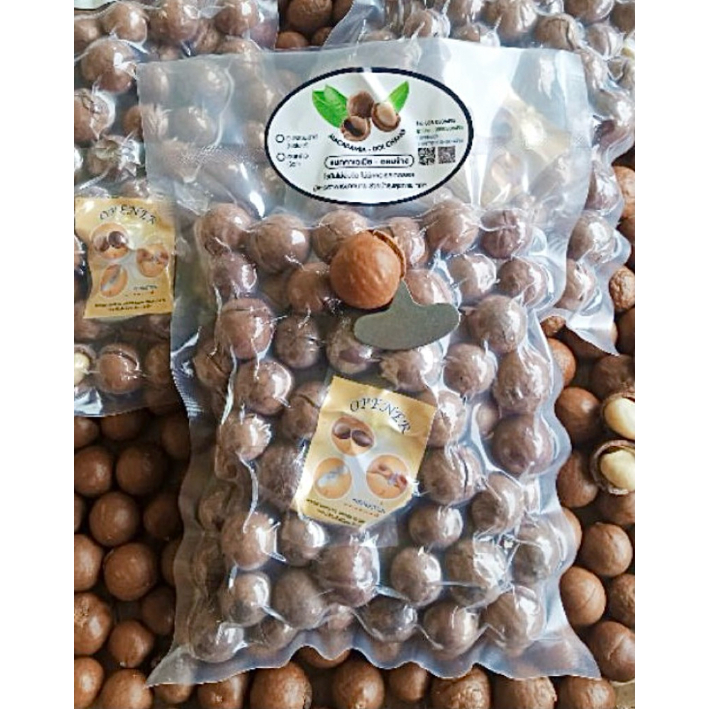 แมคคาเดเมียกะลาทำรอยมีที่แกะ 1kg