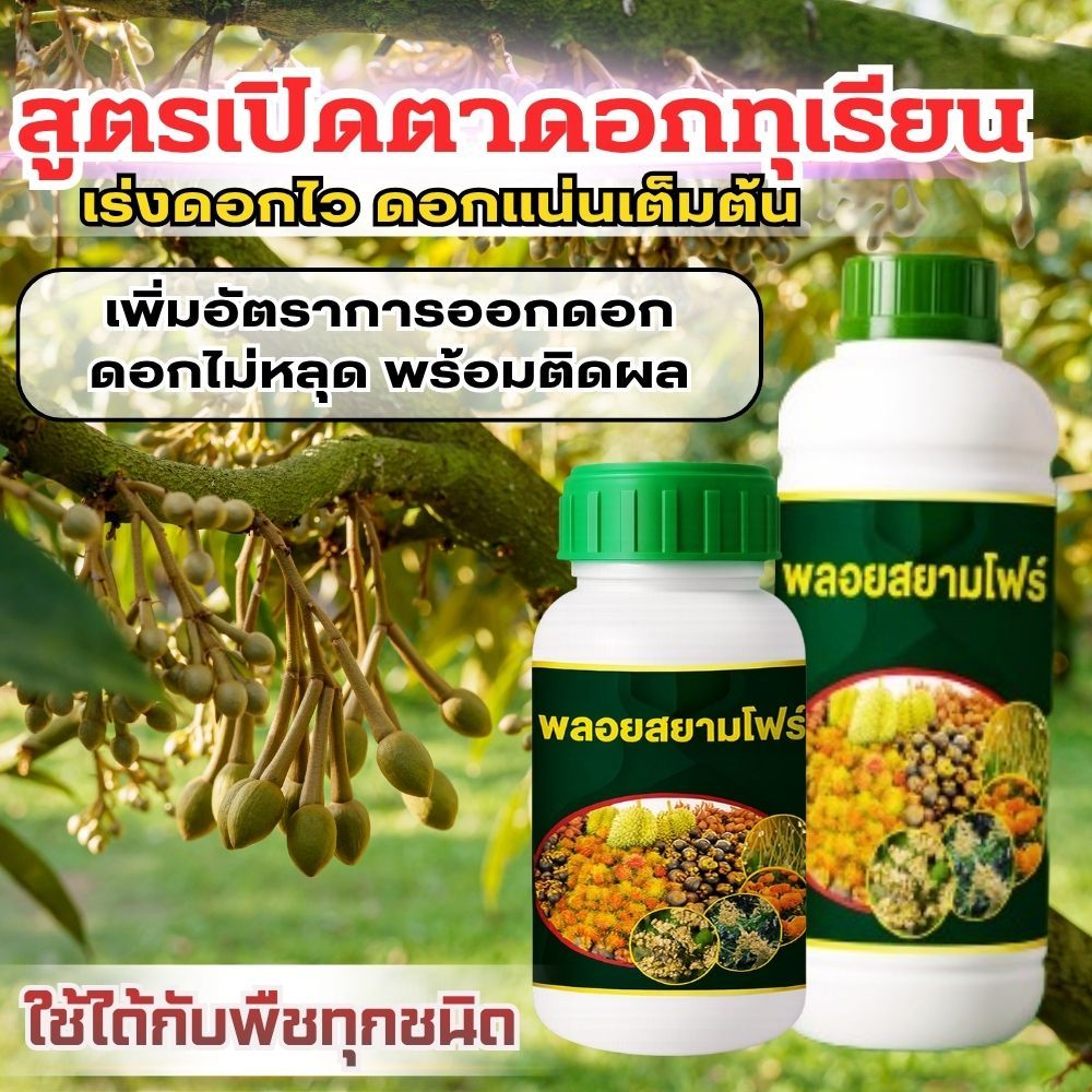 สูตรเปิดตาดอกทุเรียน ดันดอก กระตุ้นการแตกตาดอก ดอกแน่นเต็มต้น ลดการหลุดร่วง ขั้วดอกเหนียว ใช้ได้กับพืชทุกชนิด