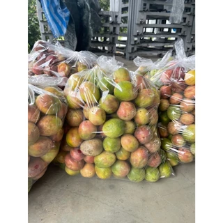 เสาวรสไทนุง พันธุ์โครงการหลวง ราคา 59 บาท เปรี้ยวอมหวาน หอม สดชื่น