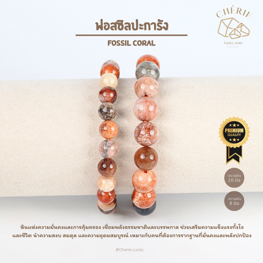 กำไลหิน ฟอสซิลปะการัง FOSSIL CORAL - หินแท้ธรรมชาติ เสริมความแข็งแรงทั้งใจ และชีวิต | Cherie Lucky