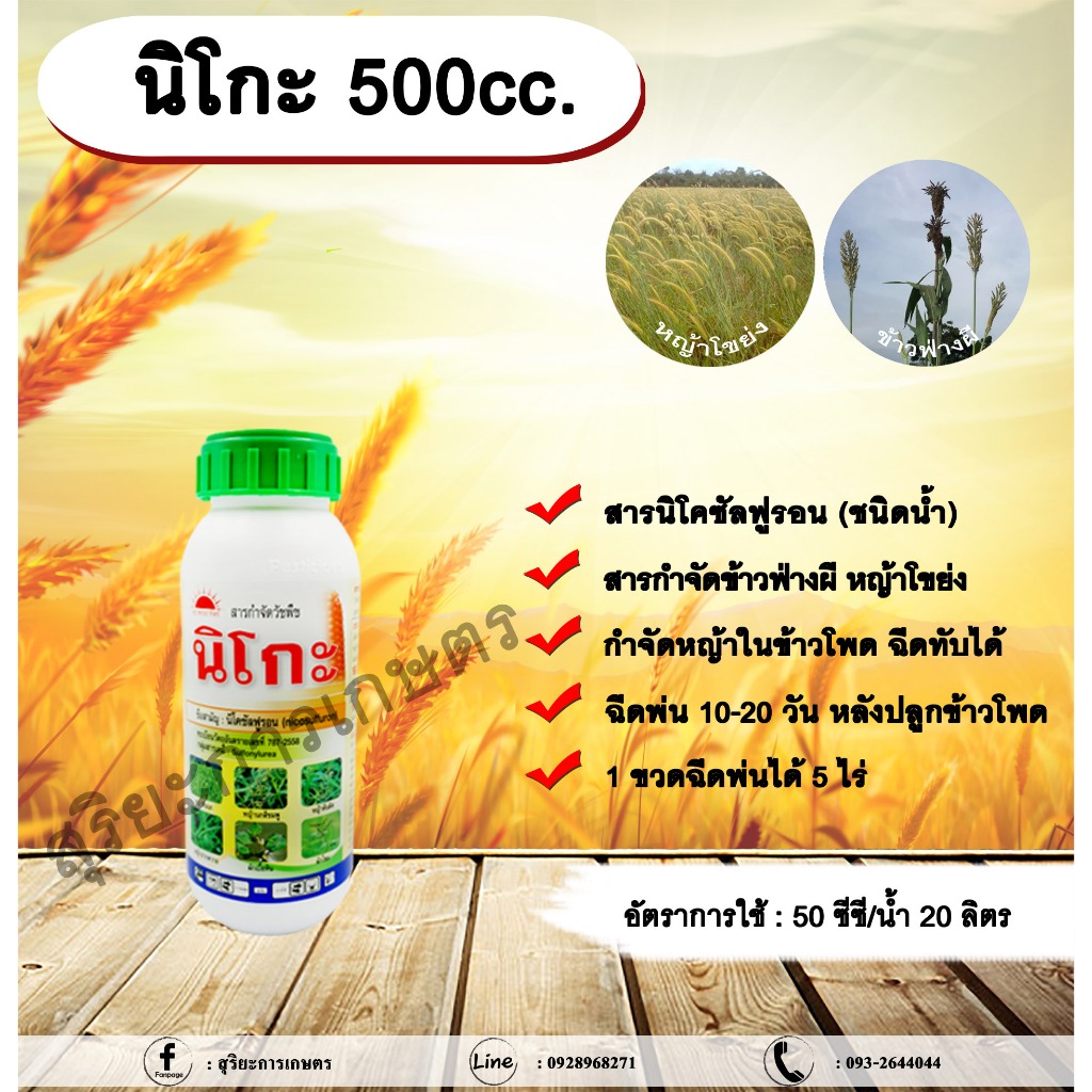 นิโกะ 500ml. นิโคซัลฟูรอน กำจัดหญ้า ในข้าวโพด กำจัดข้าวฟ่างผี หญ้าโขย่ง หญ้าปากควายาย หญ้าตี