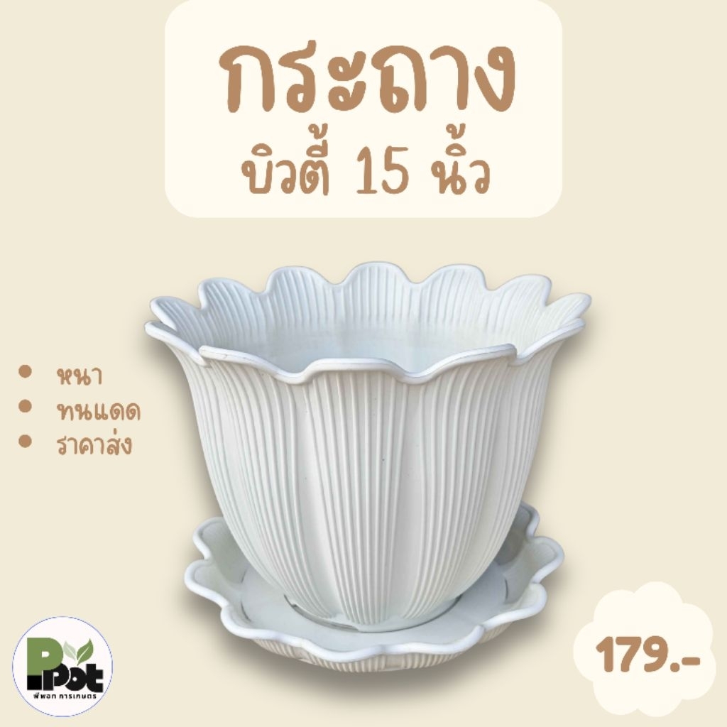 กระถางต้นไม้ รุ่นบิวตี้ 15 นิ้ว + จานรอง มีสีให้เลือก สีขาวเเละเทา ดีไซน์ทรงดอกไม้ สำหรับปลูกต้นไม้