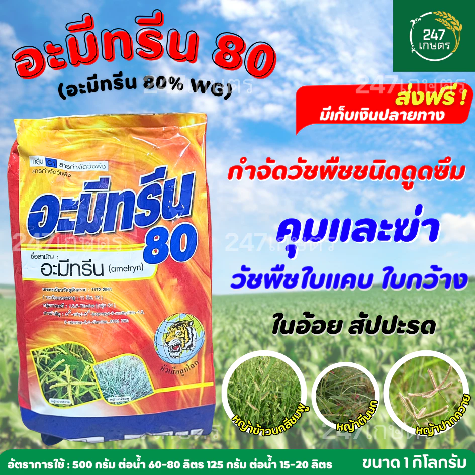 อะมีทรีน 80% 1 กก.เม็ด WG หัวเสือลูกโลก กำจัดวัชพืชชนิดดูดซึม ในอ้อย สัปปะรด