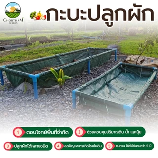 【COD】กระบะปลูกผัก พร้อมโครง PVC ขนาด 60x200x30cm กะบะเพาะปลูก​ ถุงปลูก​ต้นไม้ แปลงผัก กระบะปลูกผัก แปลงปลูกผัก