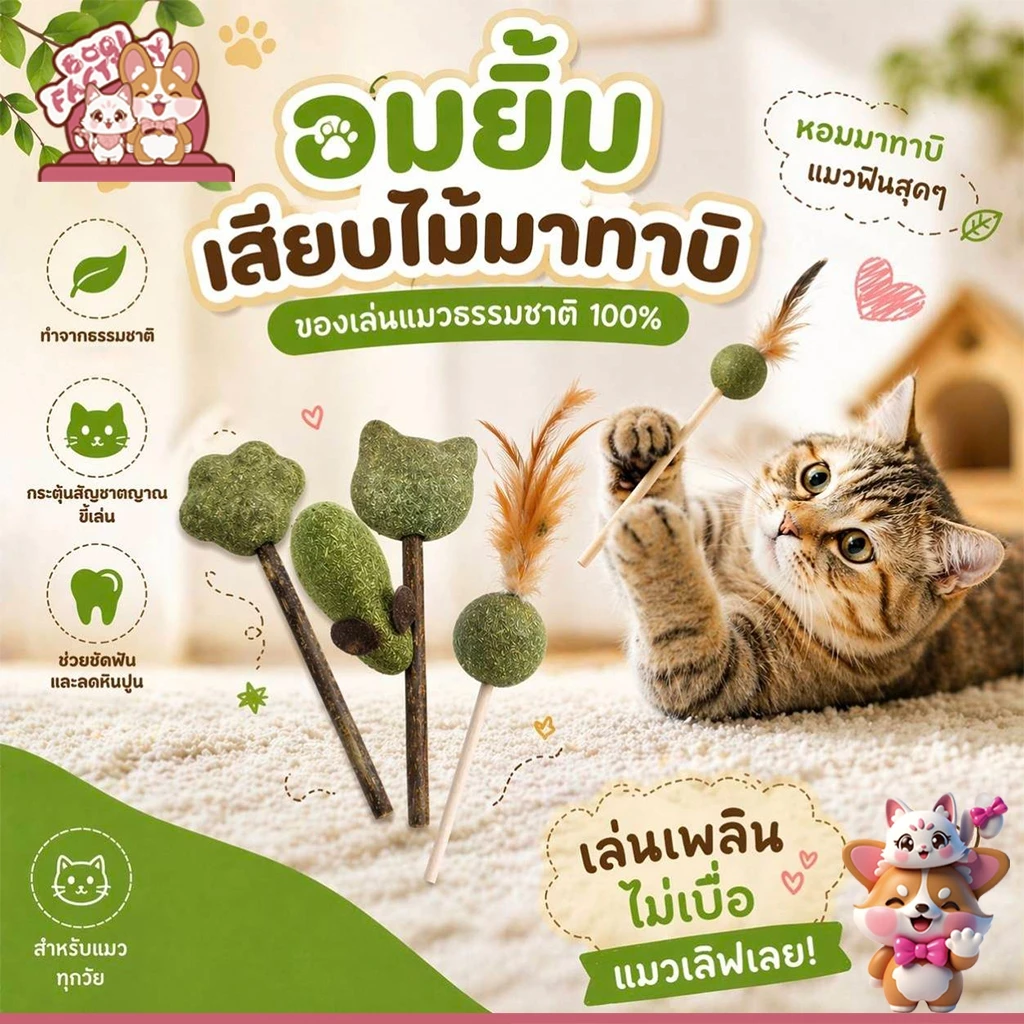 Boqi Factory catnip แคทนิปอมยิ้มเสียบไม้มาทาบิสมุนไพรแมวฟินแคทนิปแมวกัญชาแมว(ของเล่นแมว)​ Catnip Toy XJ