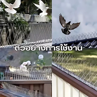 🐦หนามกันนก​ หนามไล่นก สแตนเลส304 ยาว50ซม. (10ชิ้น) กันนกพิราบ แมว กันนกเกาะ หนามไล่นก