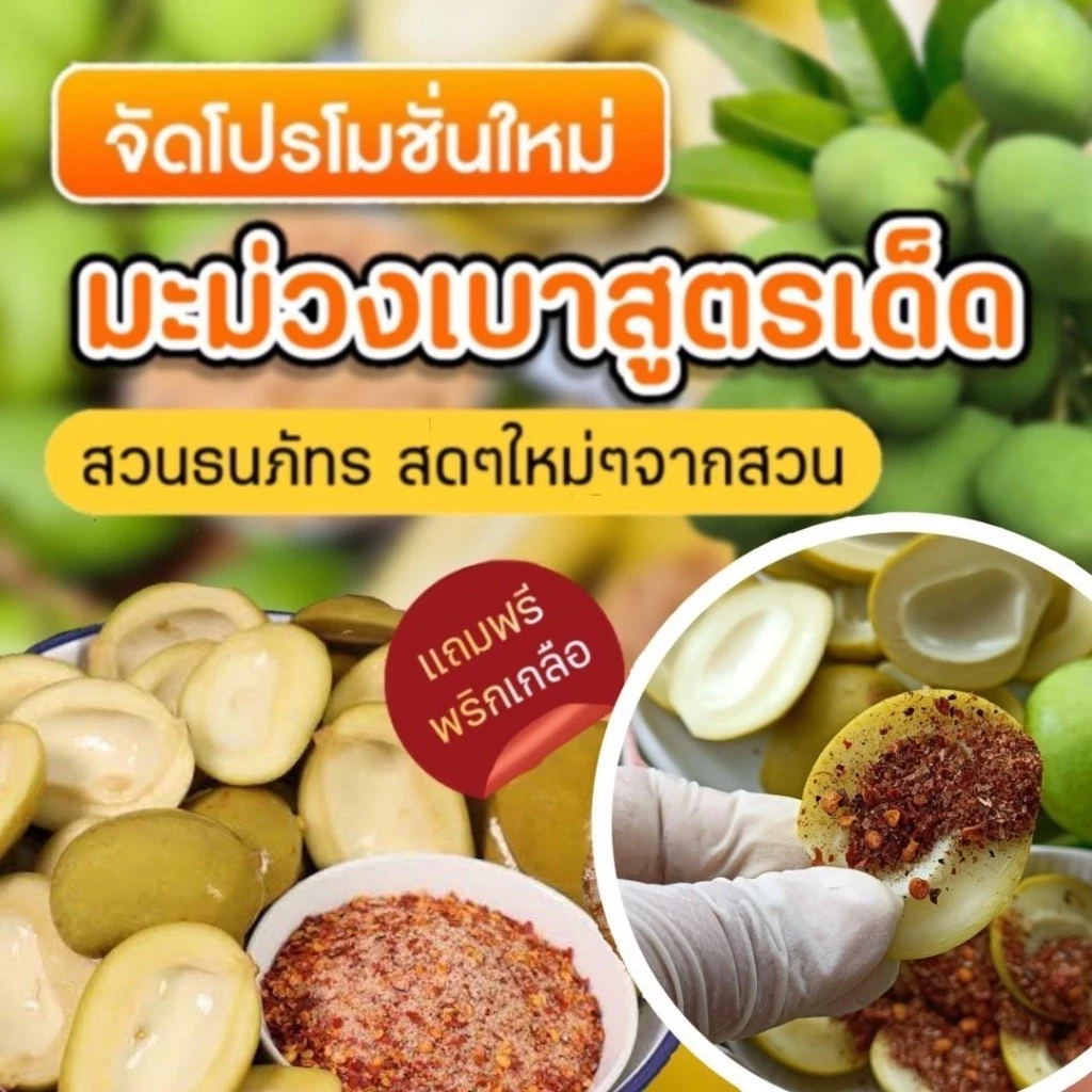 มะม่วงเบาดองเกลือขนาด 500g สดสะอาด สวนธนภัทร ผลไม้ดอง