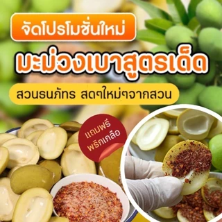 มะม่วงเบาดองเกลือขนาด 500g สดสะอาด สวนธนภัทร ผลไม้ดอง