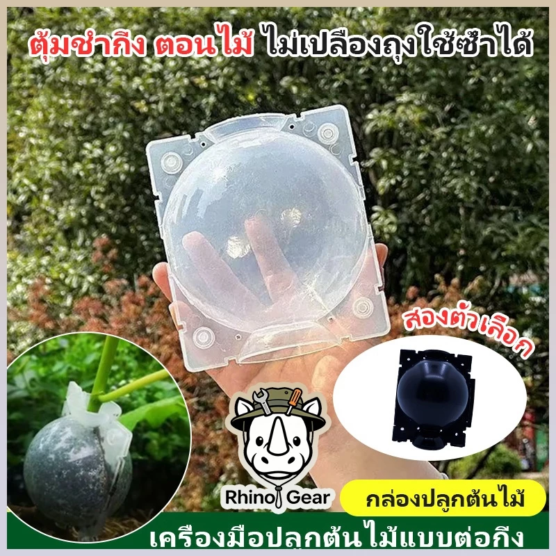 ตุ้มตอนกิ่ง ตอนกิ่ง มีที่ล็อคในตัว ตุ้มตอนพลาสติก แบบหนา มี 3 ขนาด ขาวโปร่ง แข็งแรง ทนทาน ใช้ซ้ำได้