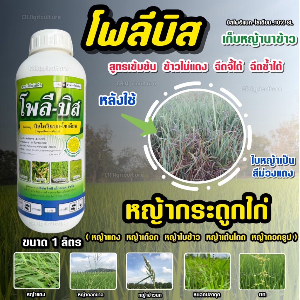 โพลี-บิส โพลีบิส ขนาด 1 ลิตร บิสไพริแบค-โซเดียม  ยาเก็บหญ้า หญ้าดอกขาว หญ้าข้าวนก หญ้าแดง กก หนวดปลาดุก เทียนนา ผักปอดนา