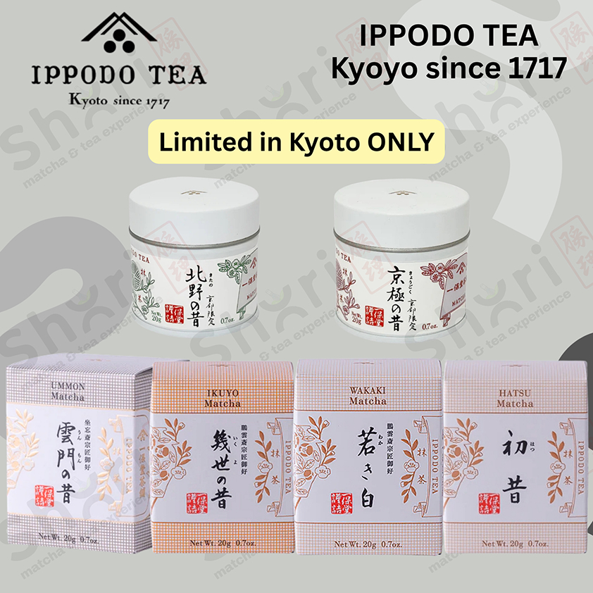 [ขนาดทดลอง 10g] IPPODO TEA มัทฉะชื่่อดังแห่งเมืองเกียวโต ราคา ถูกที่สุด ดีลบีเคเค