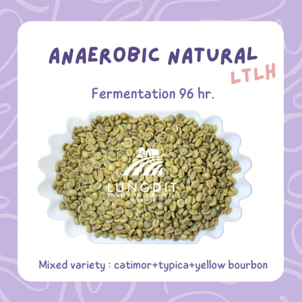 สารกาแฟขุนลาว Anaerobic Natural Fermrntation LTLH  1 กก.