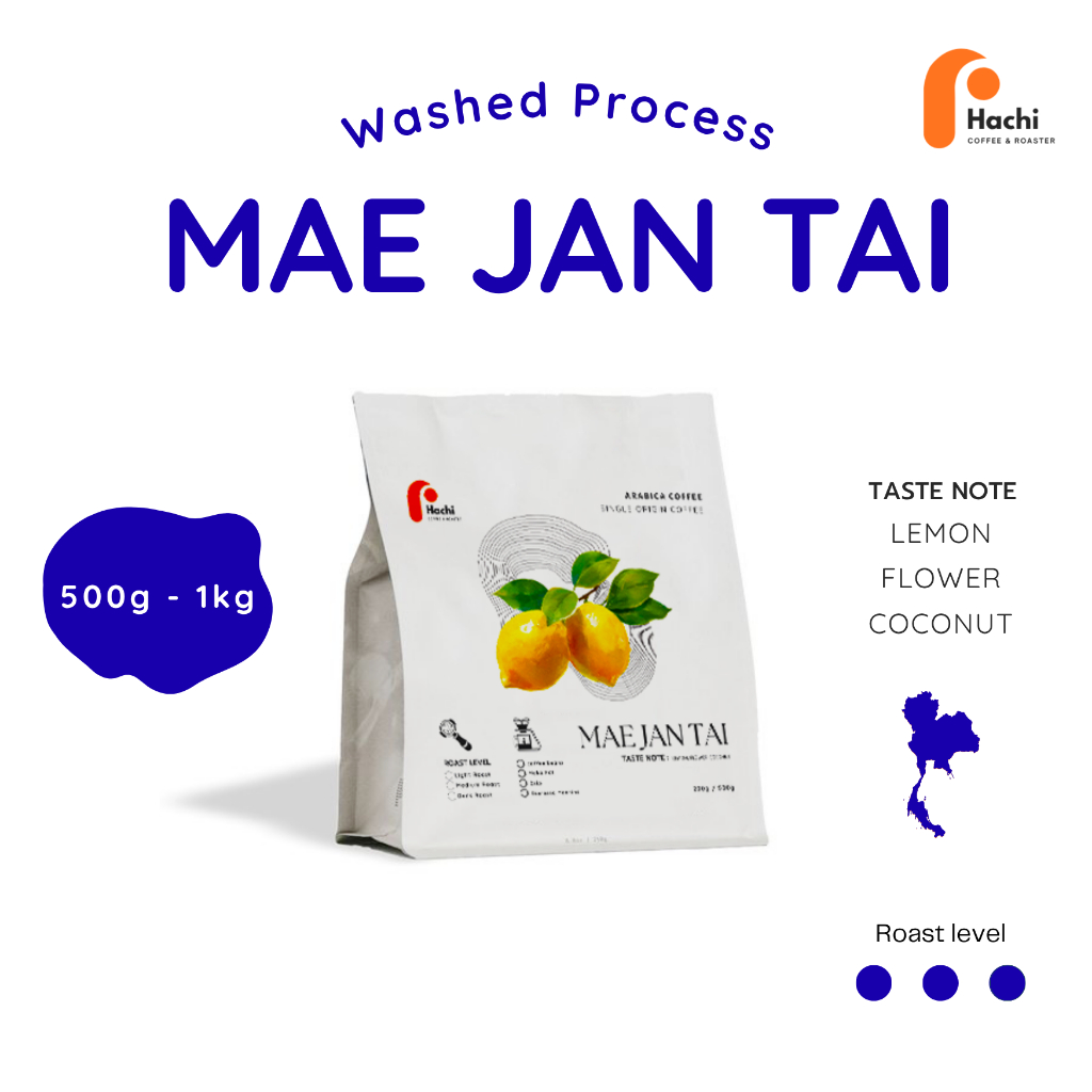 เมล็ดกาแฟ เเม่จันใต้ Mae Jan Tai เกรด A-AA [ คั่วสดใหม่ทุกวัน ]
