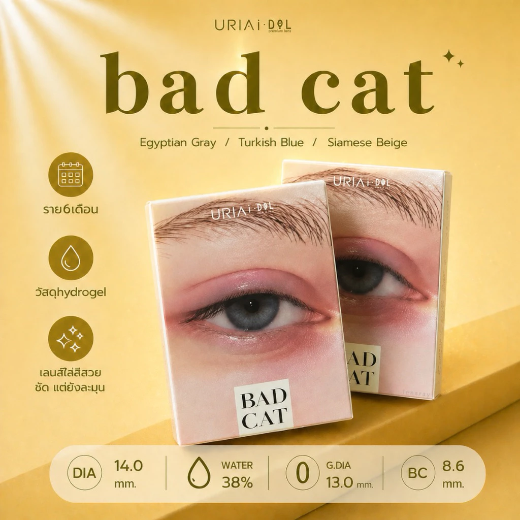 Best seller👀, IDOLLENS - BAD CAT คอนแทคเลนส์ราย6เดือน พร้อมส่งครบทุกสี/ทุกค่าสายตา