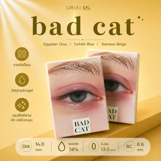 Best seller👀, IDOLLENS - BAD CAT คอนแทคเลนส์ราย6เดือน พร้อมส่งครบทุกสี/ทุกค่าสายตา