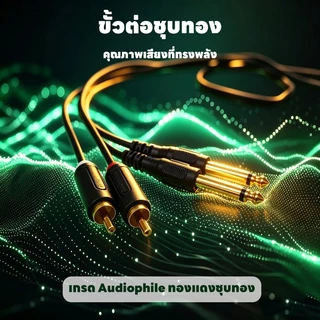 สายสัญญาณเสียง 2RCA to 2 แจ็ค 6.35mm (1/4") เหมาะสําหรับกีตาร์ มิกเซอร์สเตอริโอ ลําโพง แบบมืออาชีพ ความยาว 1.5m / 3m