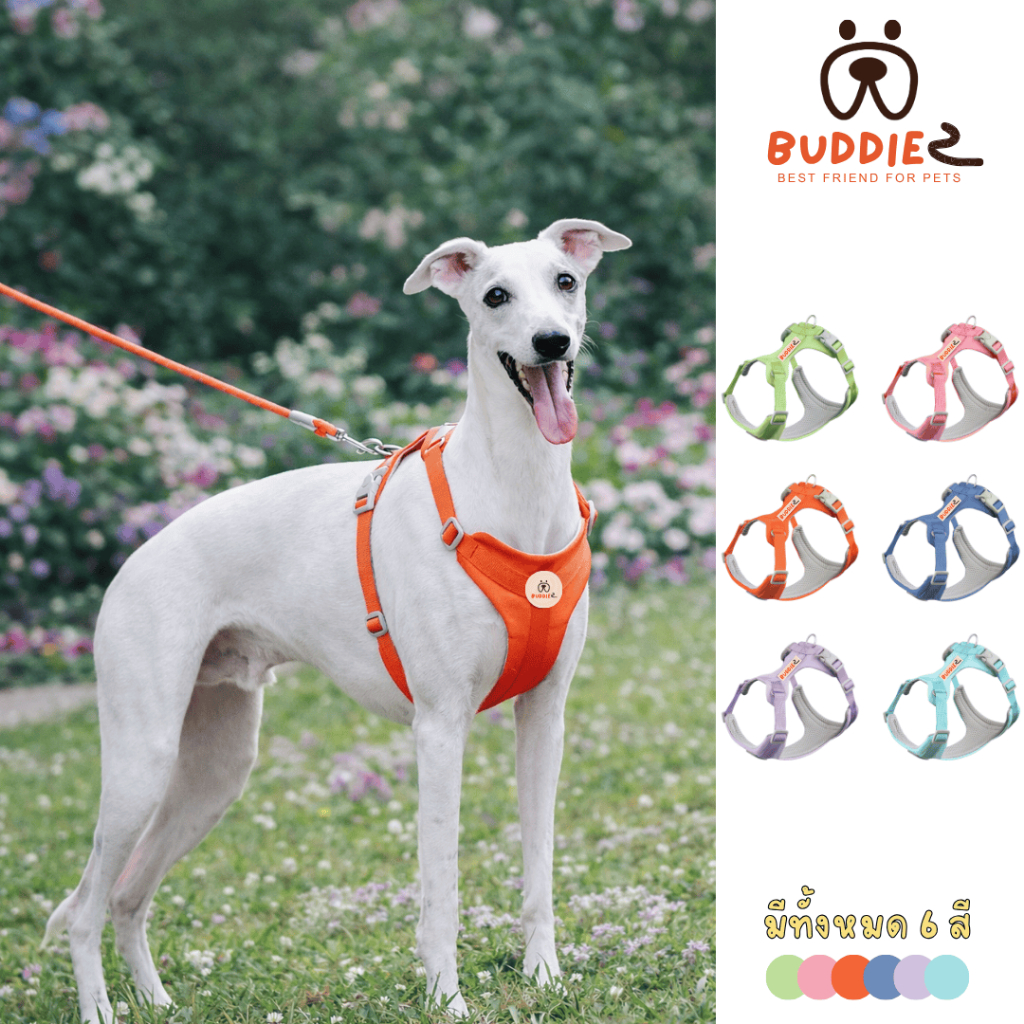 Buddiez สายรัดอก harness น้องหมา น้องแมว ระบายอากาศดี ปรับขนาดได้ สวมใส่ง่าย