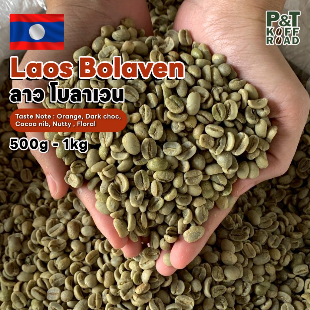 [พร้อมส่ง] สารกาแฟ ลาว Laos Bolaven . 500g-1 kg. P&T KoffRoad . สั่งซื้อเกิน 20kg. ทักแชท